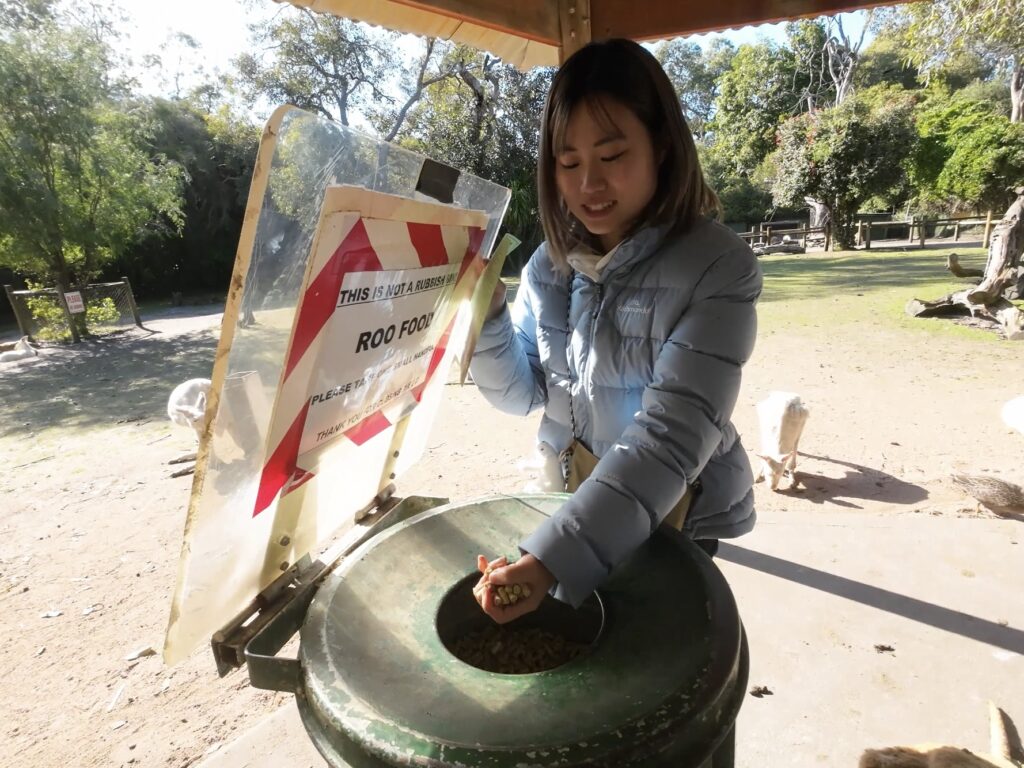 ゴミ箱みたいなエサボックスからカンガルーのエサを取り出す私