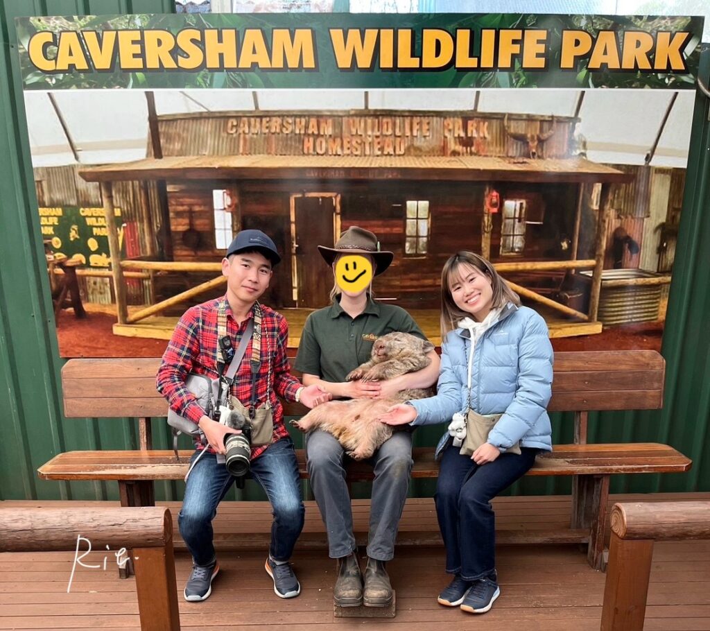 ウォンバットとのふれあい写真