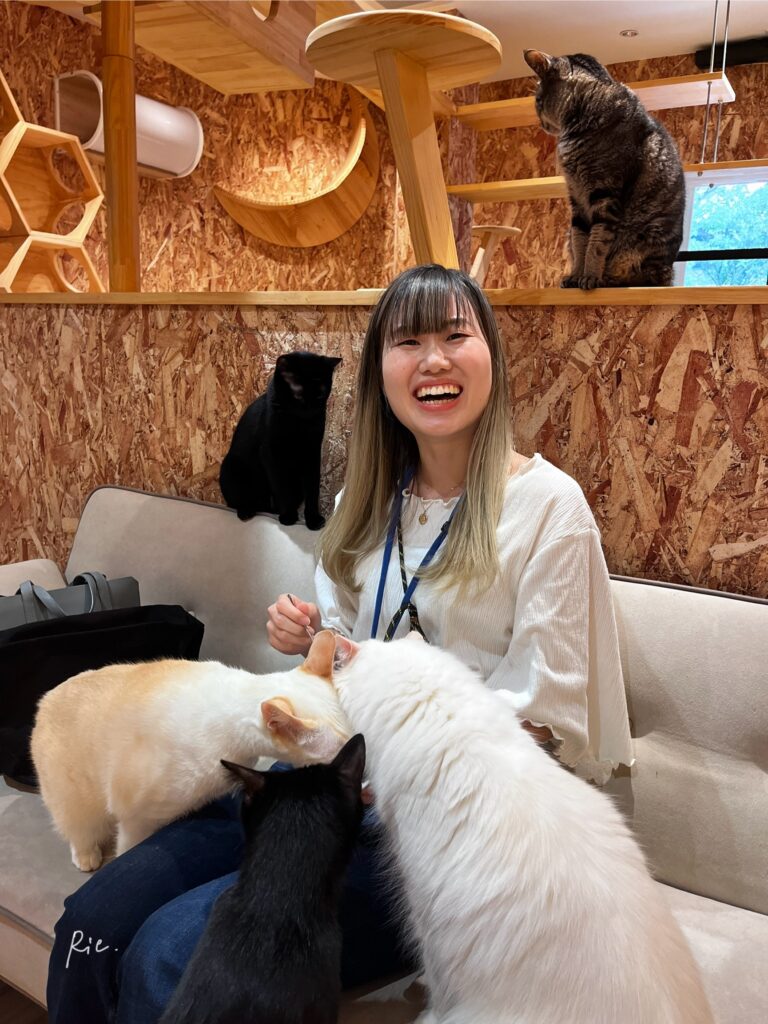 たくさんの猫ちゃんに囲まれて嬉しそうな私
