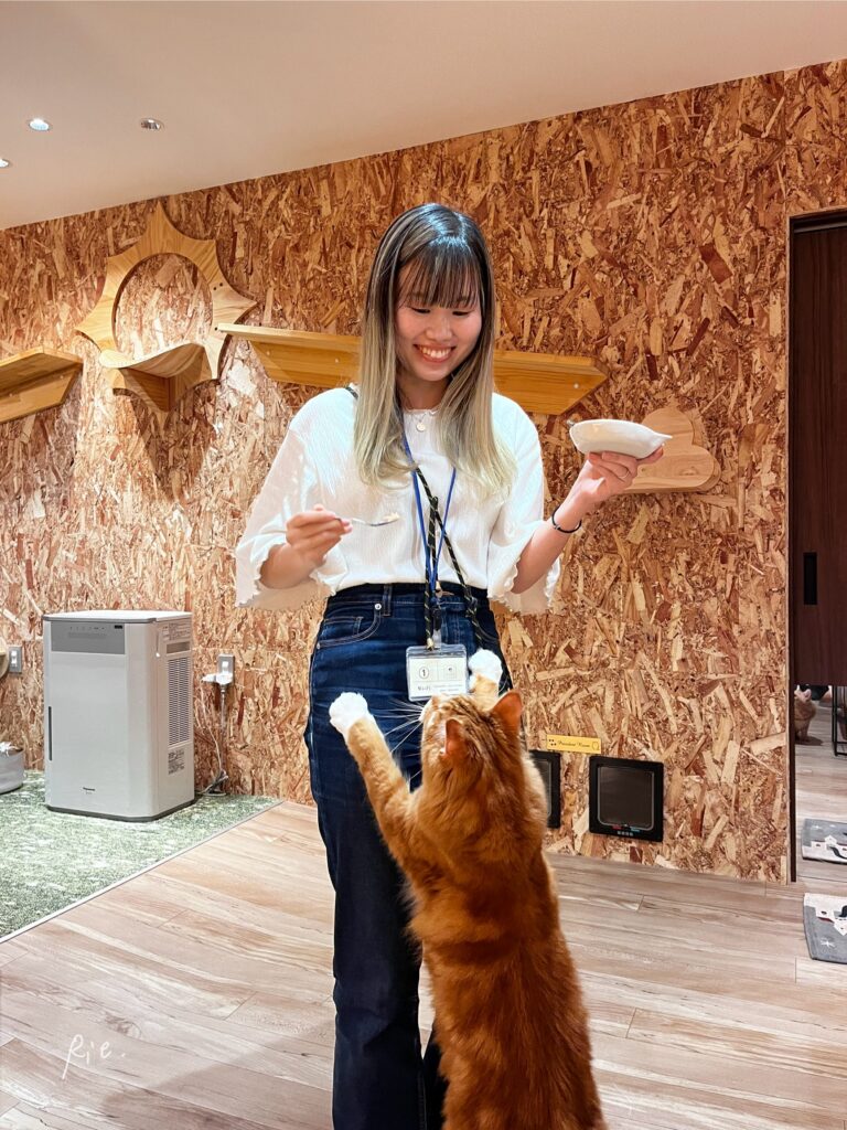 一番おやつにがめつかったぽむくん