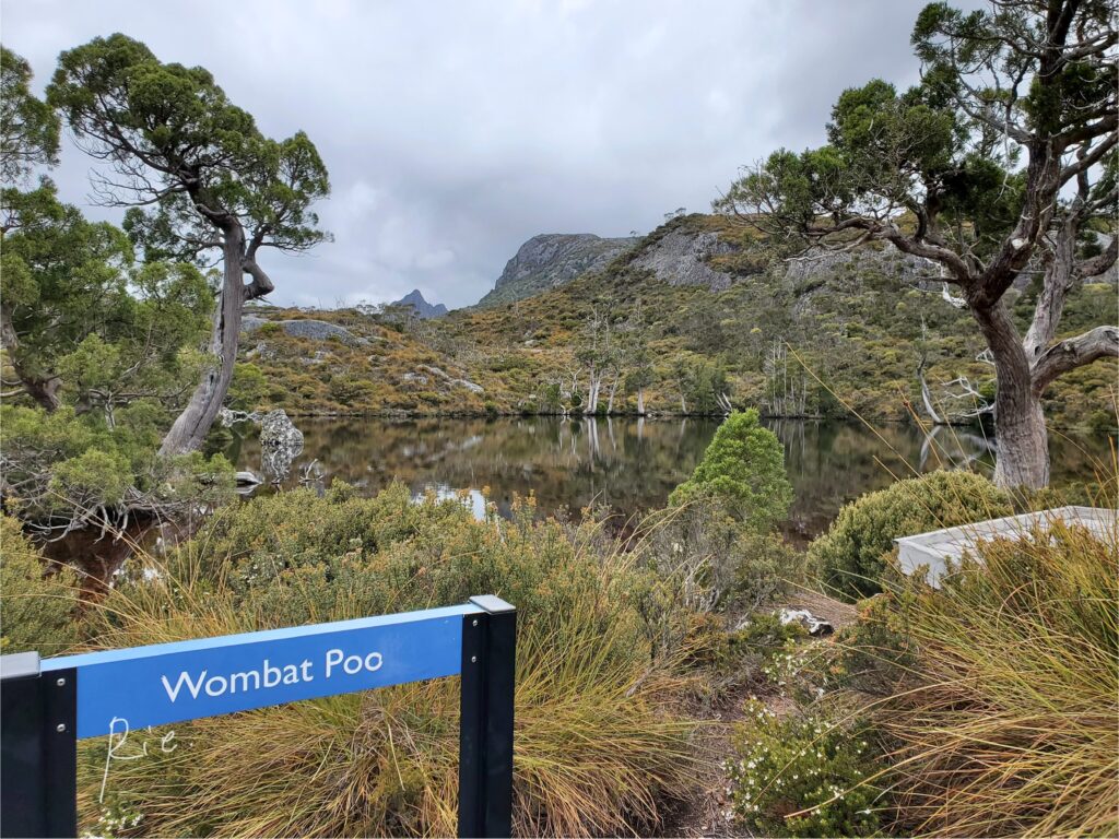 Wombat Pool