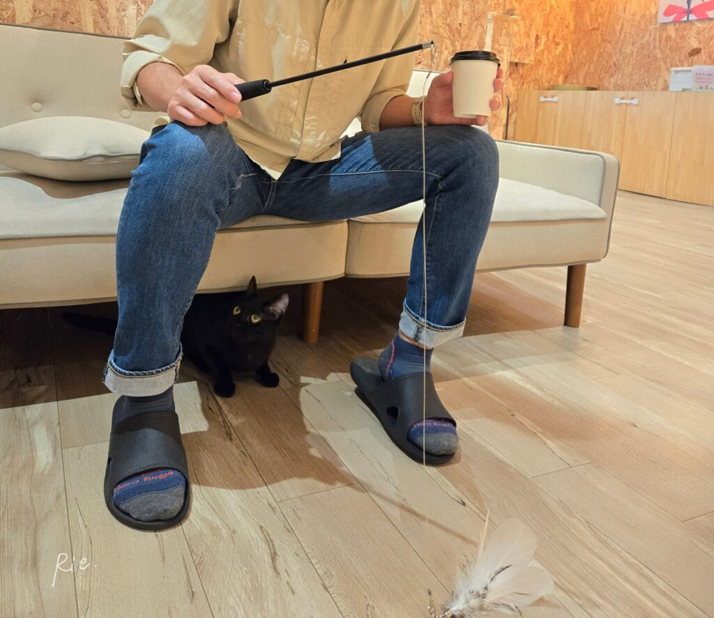 おもちゃ遊びをする様子