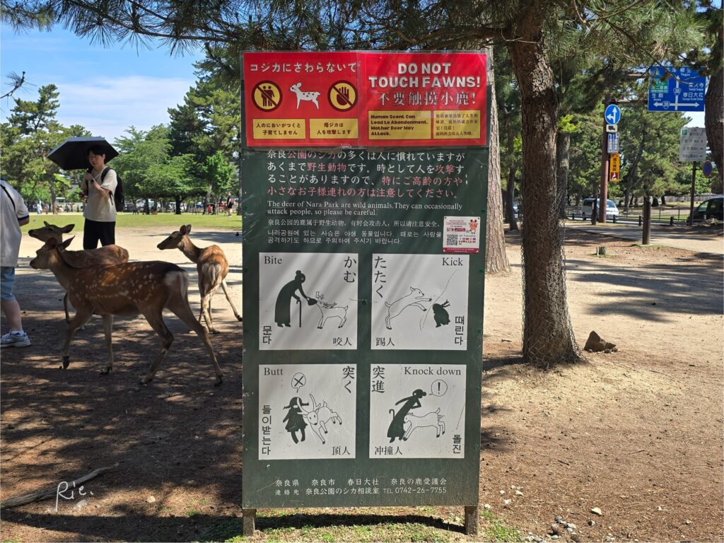 奈良公園の鹿に関する注意看板