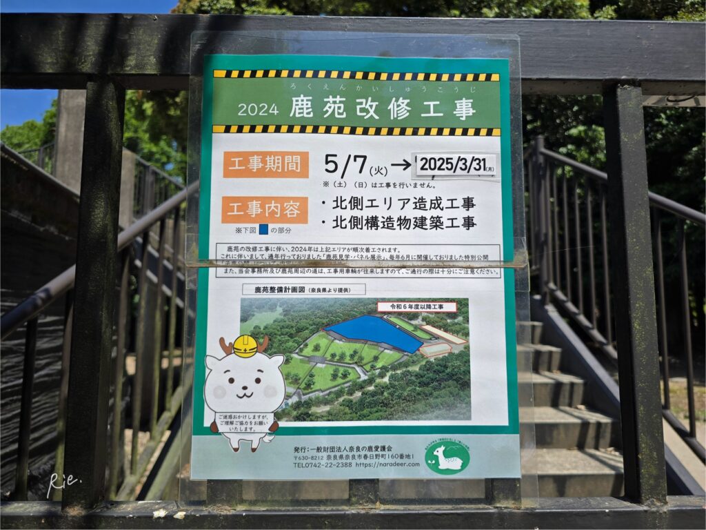 鹿苑改修工事の案内
