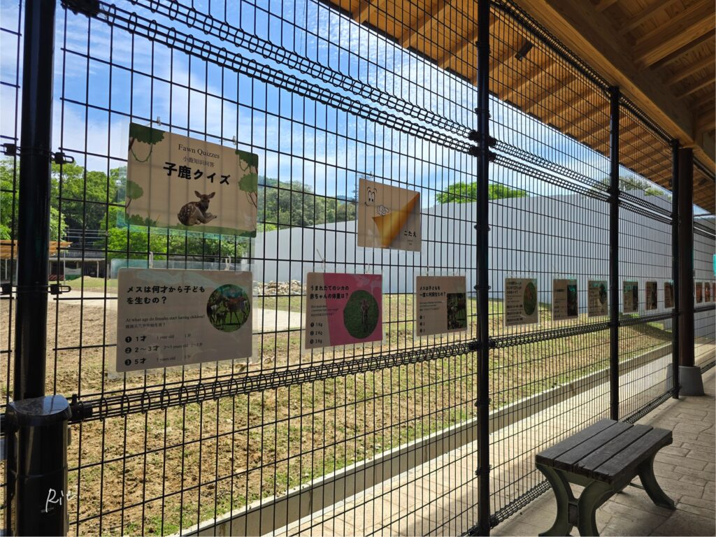 子鹿公開の展示物①