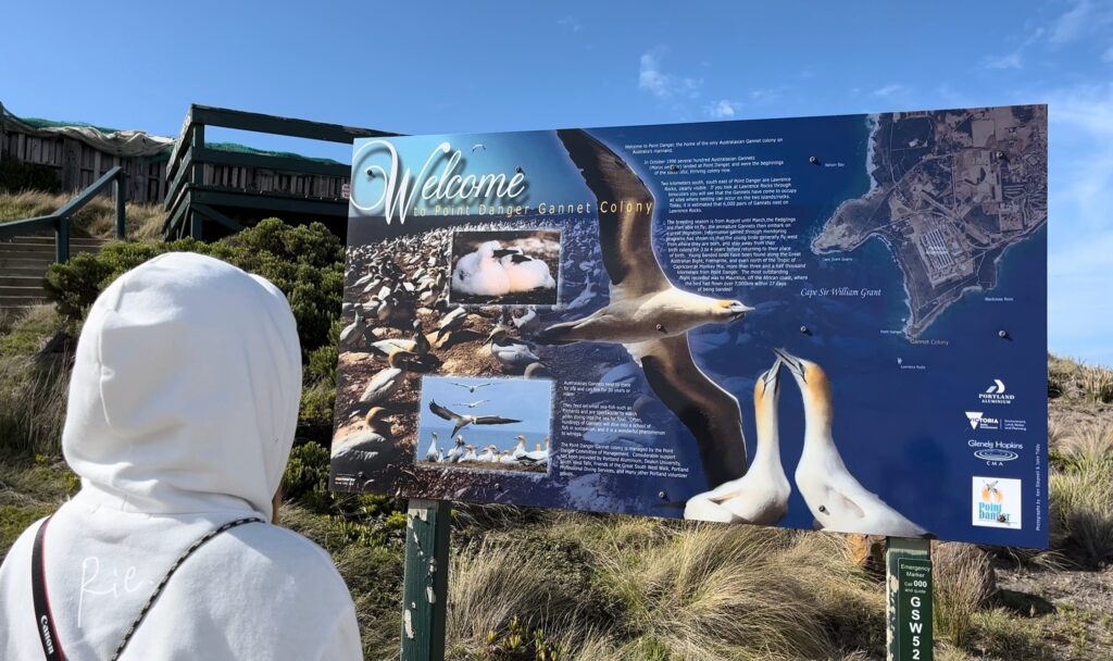 Point Danger Gannet Colonyの看板