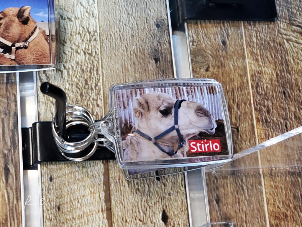 ステアローくんのお土産キーホルダー