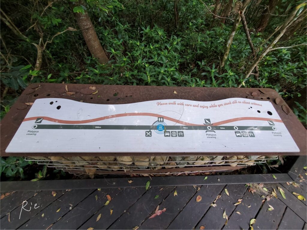 カモノハシスポットの簡易地図