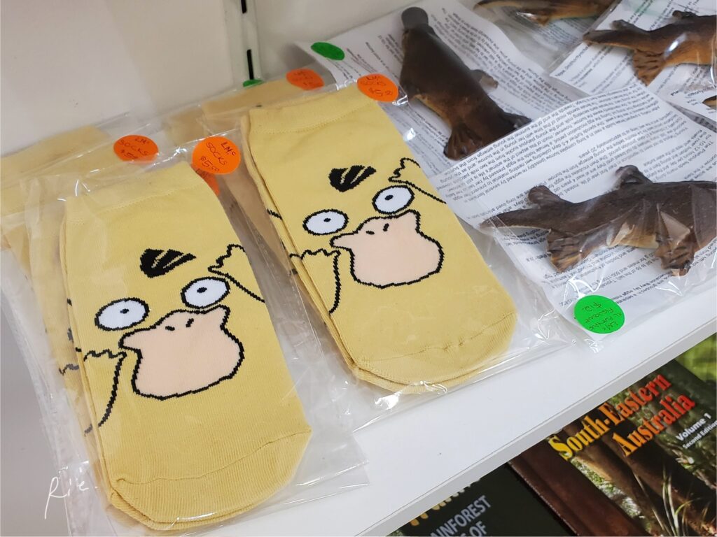 お土産屋さんに売ってたコダックの靴下