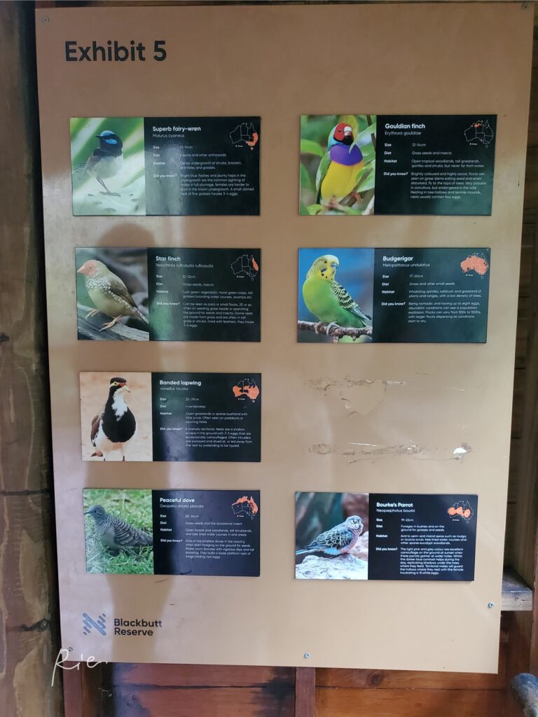 鳥類