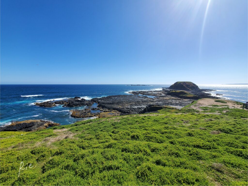 ノビーズ岬の景色②