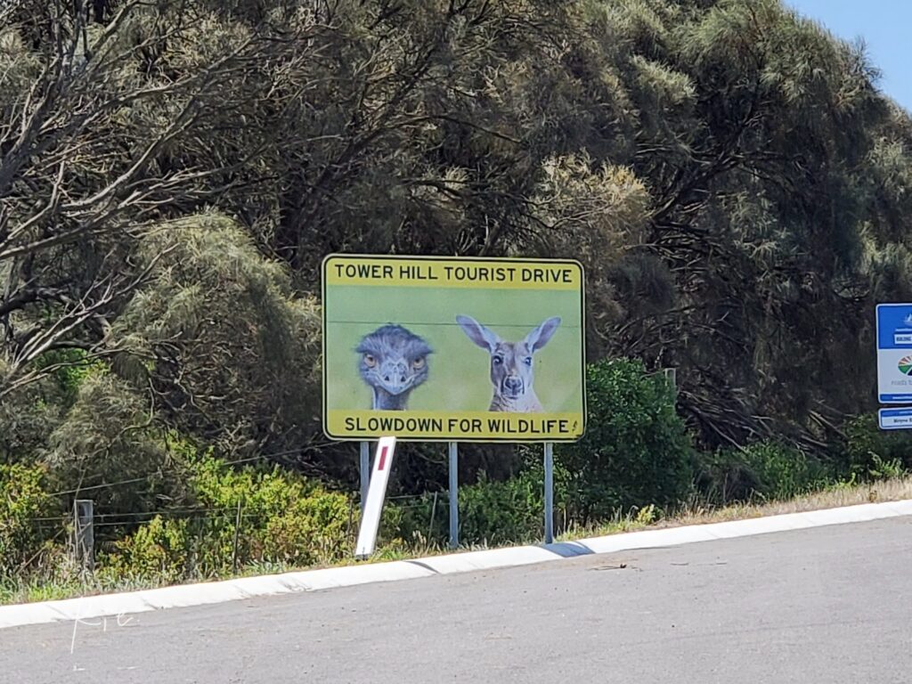 「動物のためにゆっくり運転してね」の看板