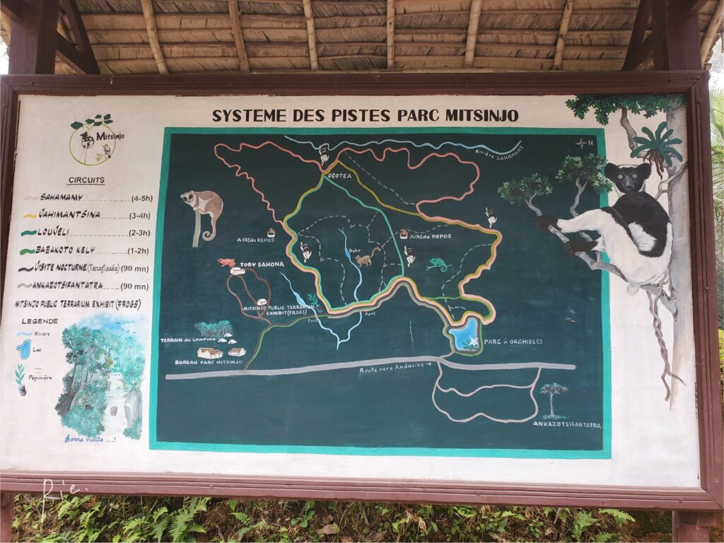 ミチンジュ公園のサーキット地図