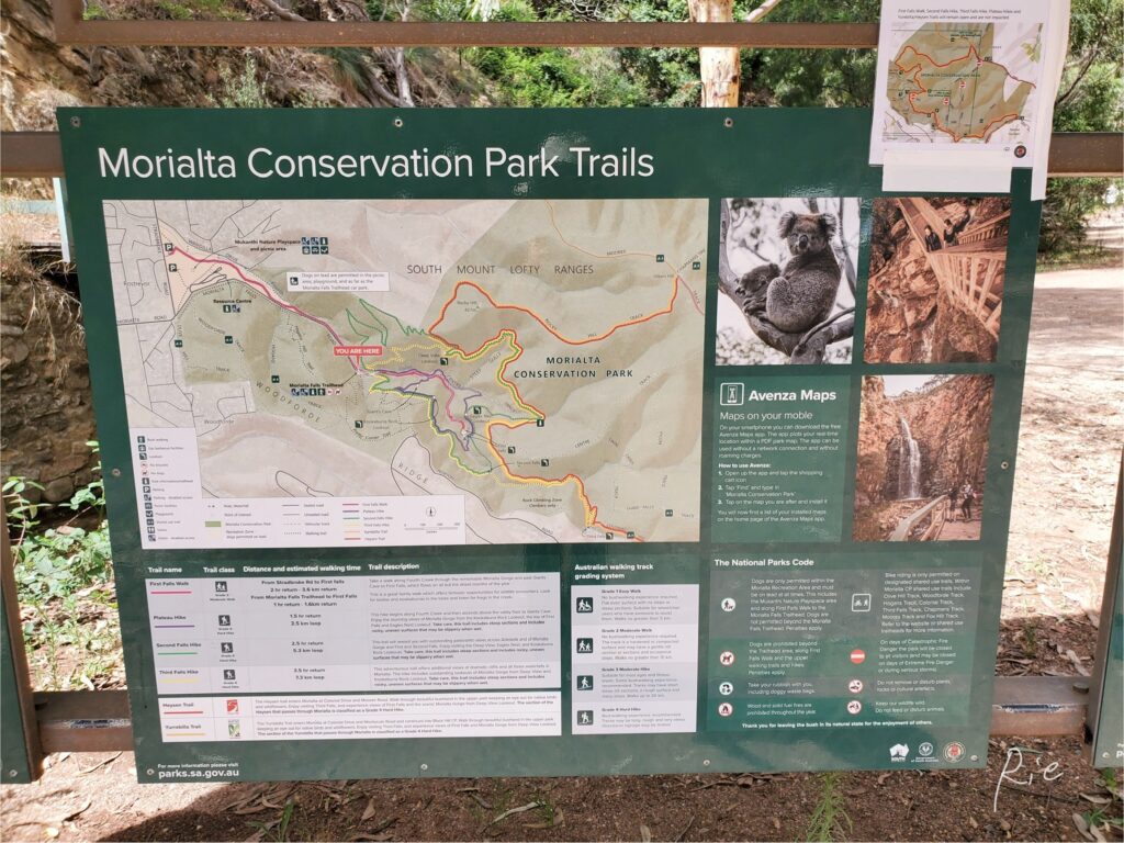 モリアルタ保護公園のトレイルコース一覧