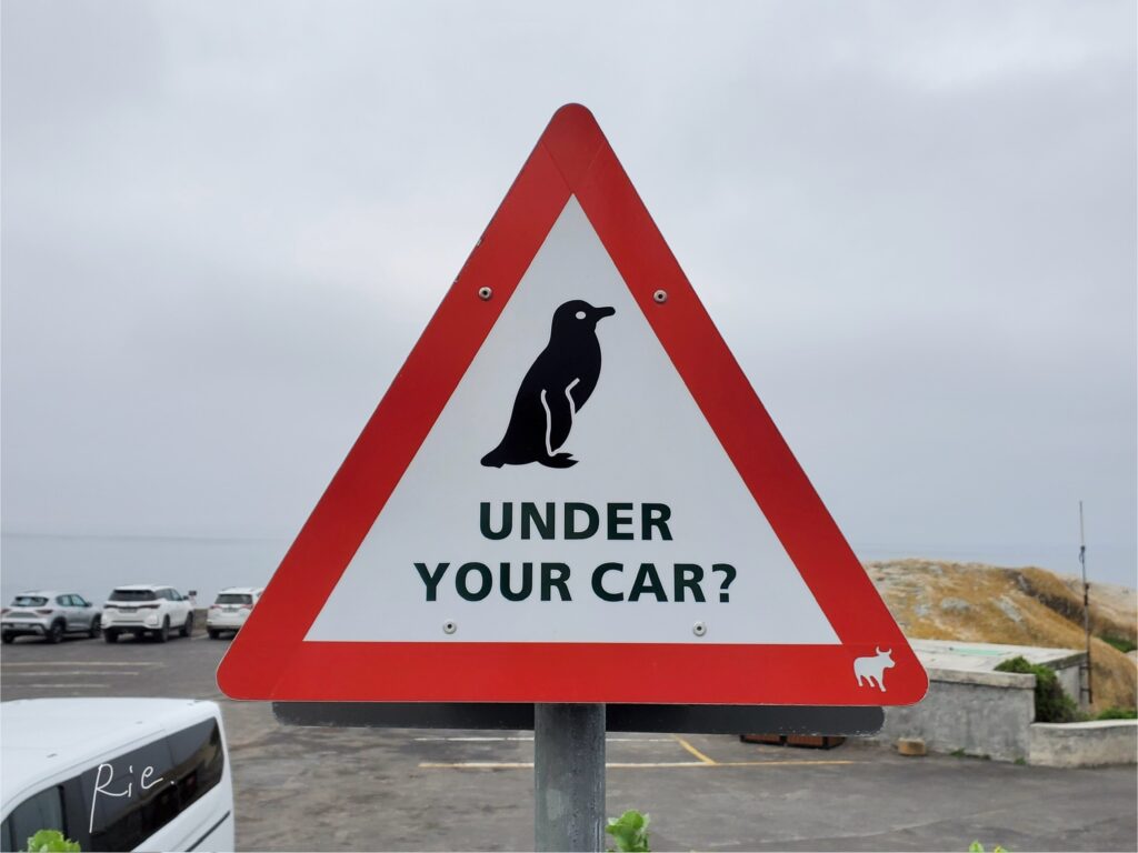 ペンギンの注意看板
