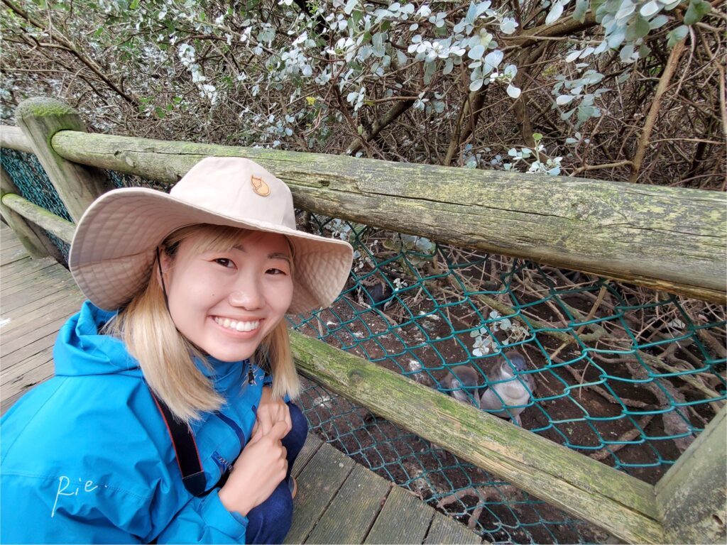 ペンギンたちを間近で観察する様子