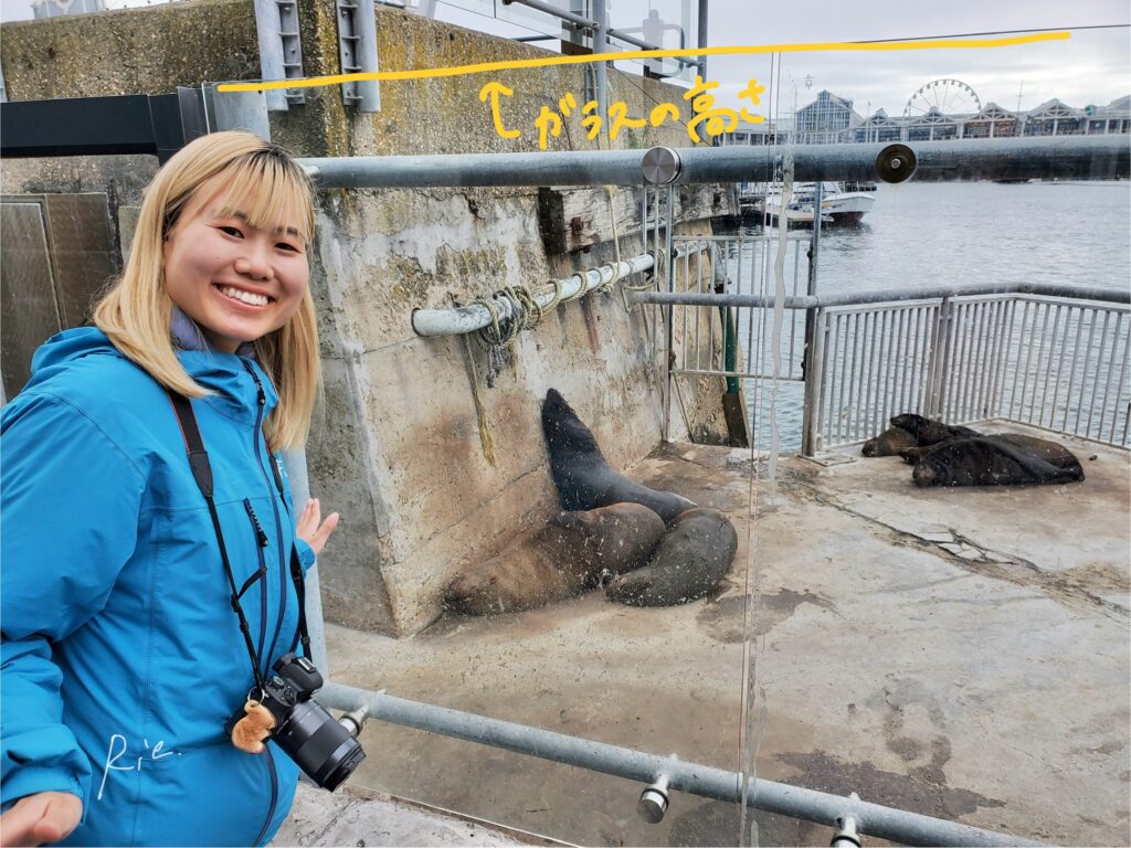ガラスの高さの目安
