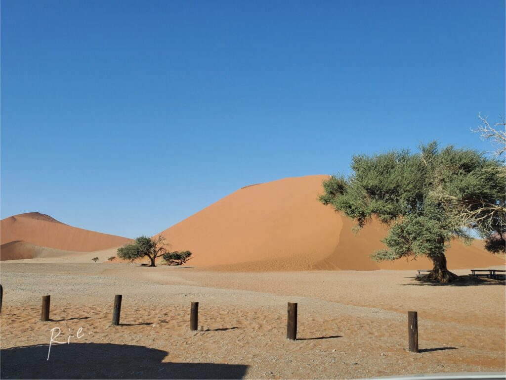 Dune45