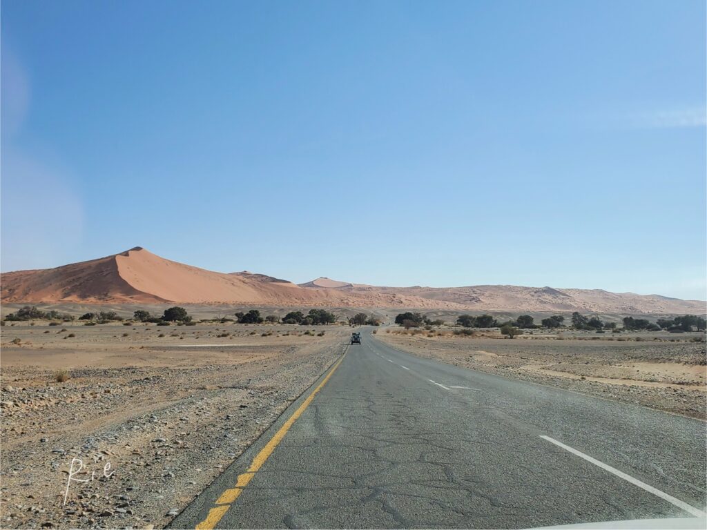 デッドフレイから帰る道中の景色