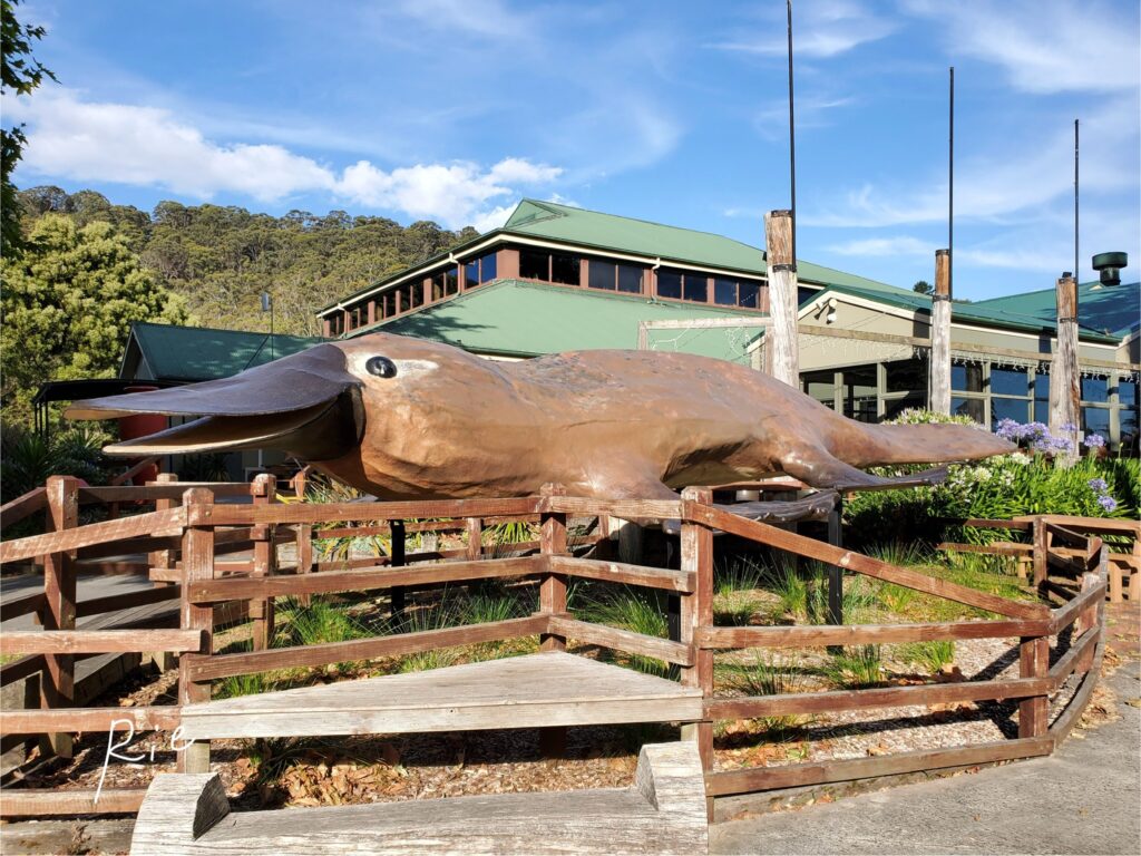 カモノハシの巨大オブジェ