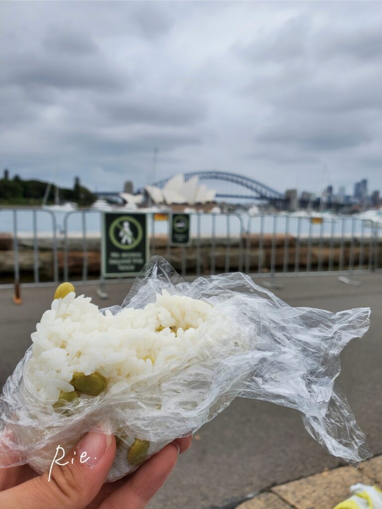 昼食のおにぎり
