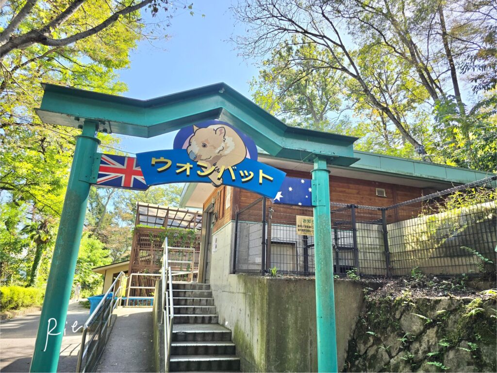 ウォンバット舎入り口