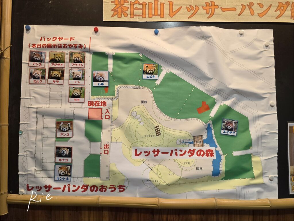今日出勤している子たち一覧