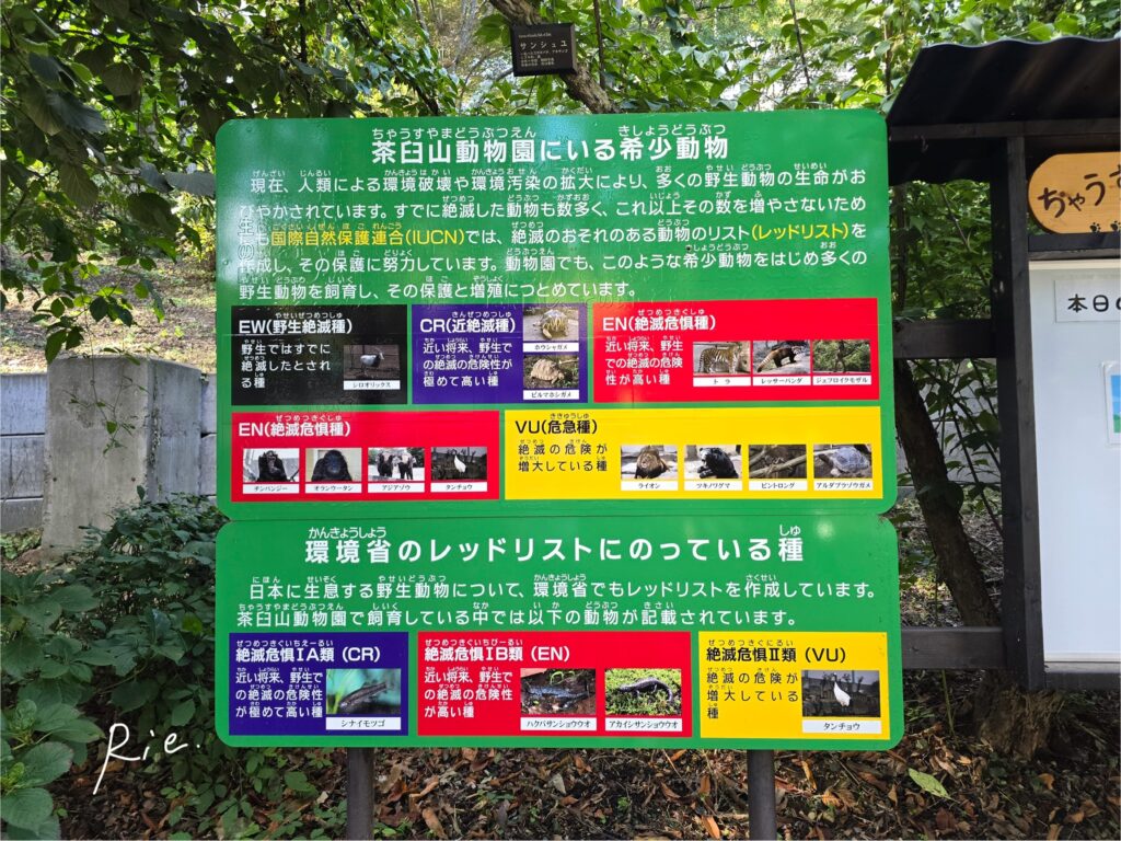 茶臼山動物園にいる希少動物一覧