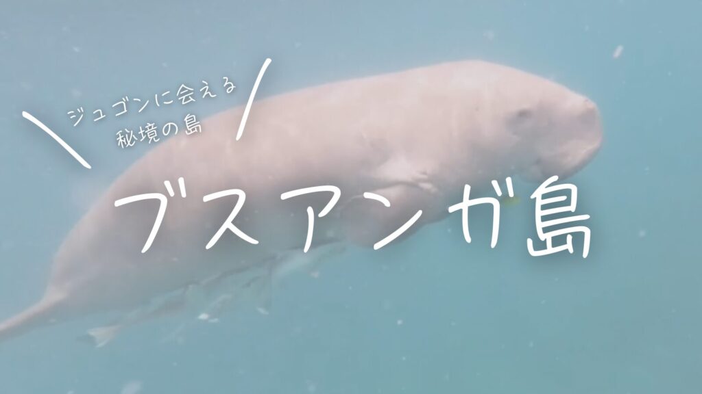 ジュゴンに会える秘境の島・ブスアンガ島