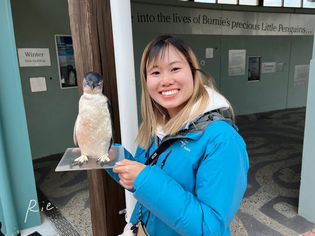 ペンギンの剥製と記念撮影