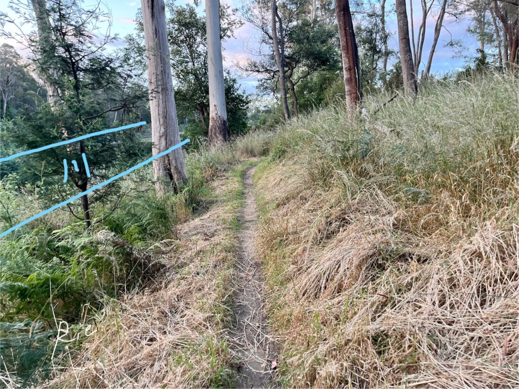 脇道と川との距離感