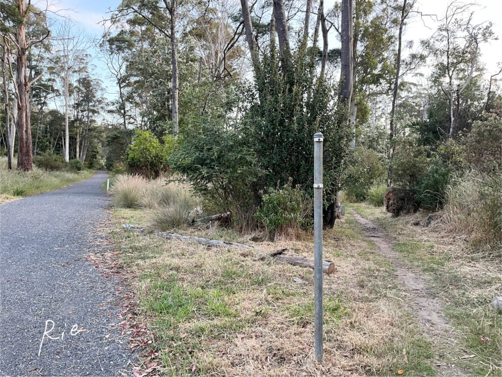 整備された道と整備されていない道との分岐点