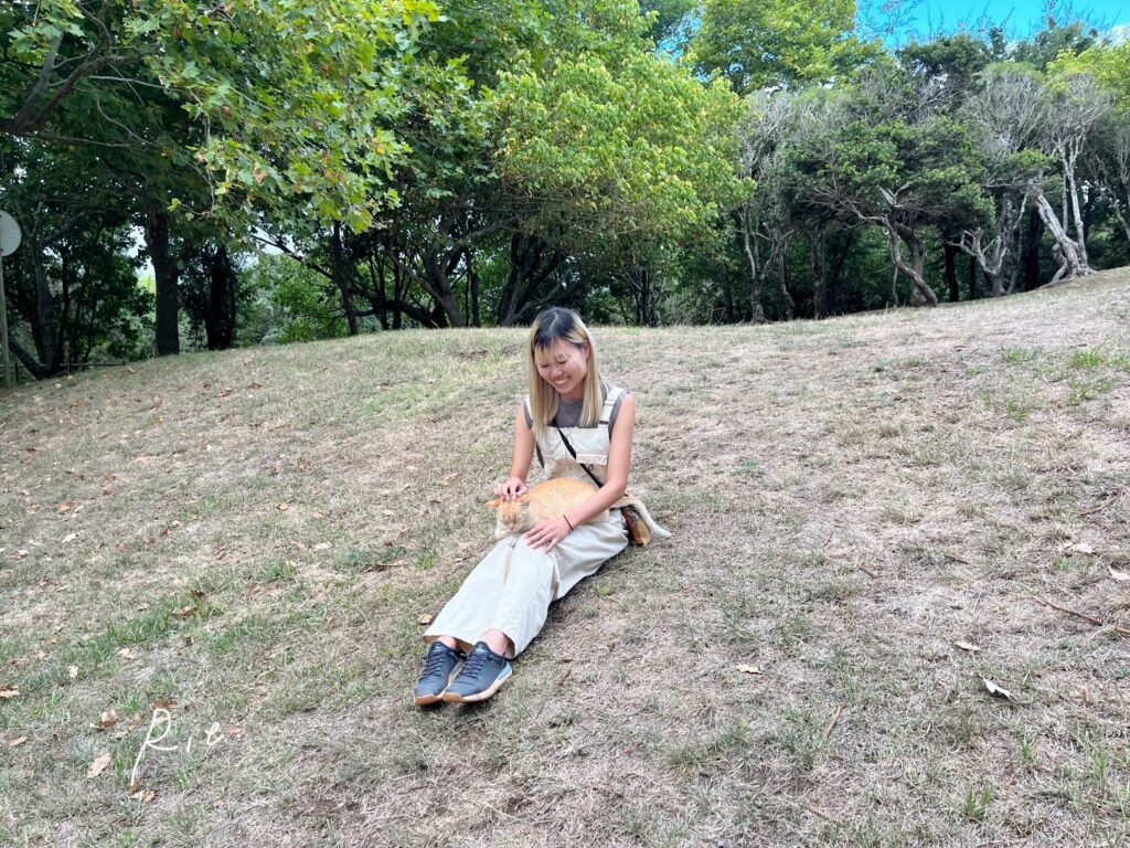 お膝に乗ってきてくれた猫ちゃんと戯れる私