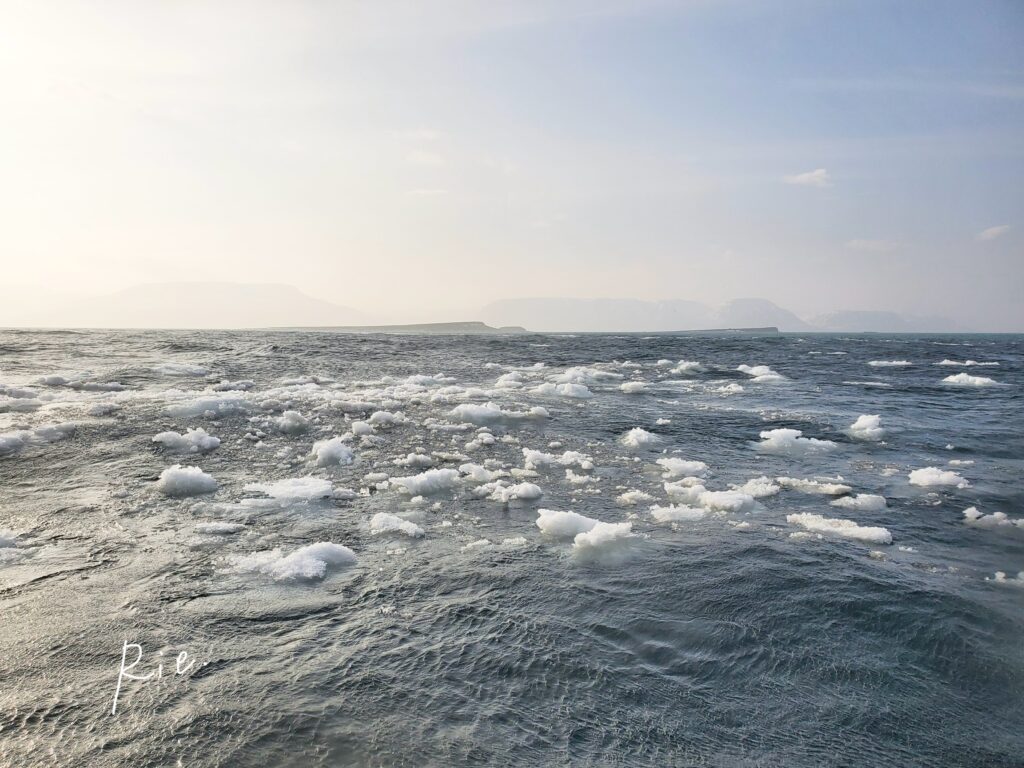 海面を漂う流氷