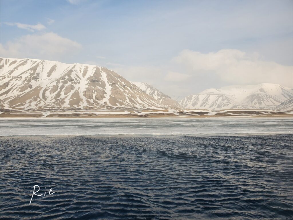 海面に氷の膜が張っている様子