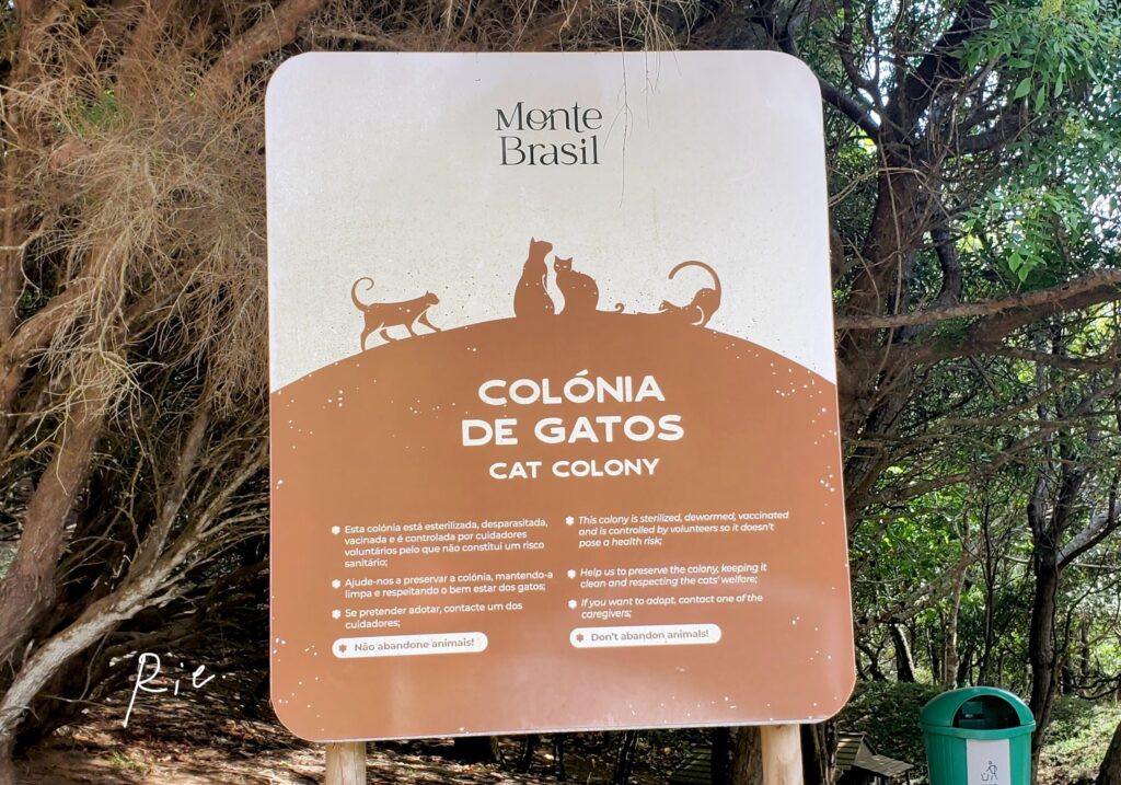 キャットコロニーの看板