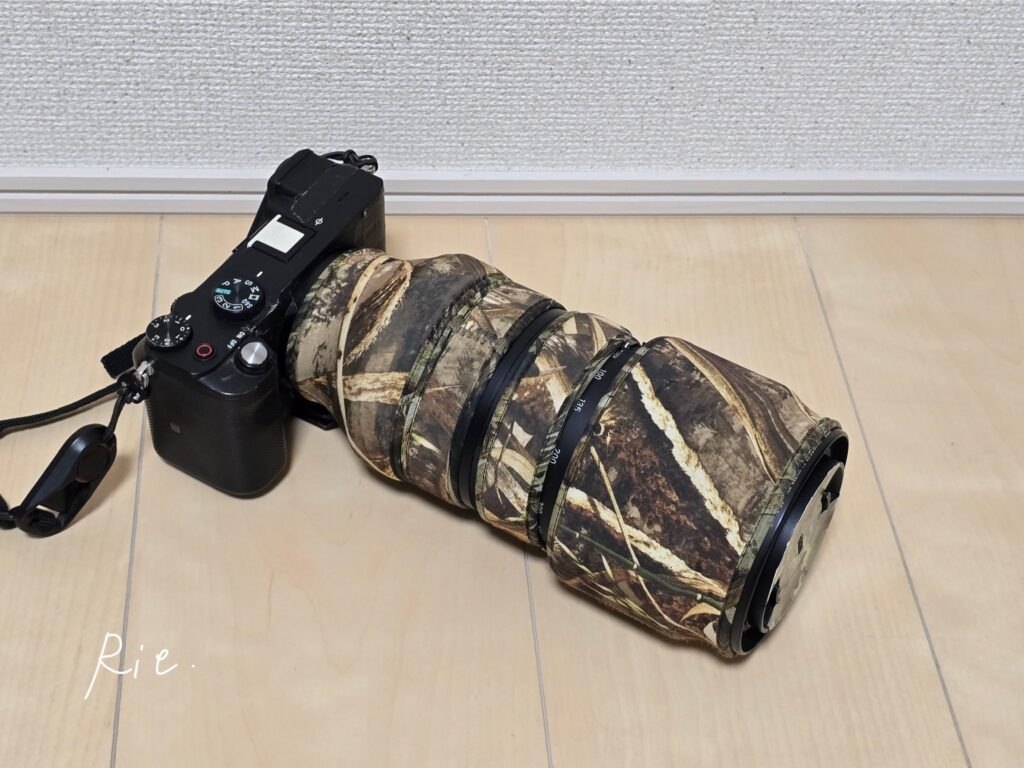 SIGMA 100-400mm F5-6.3 DG DN OS