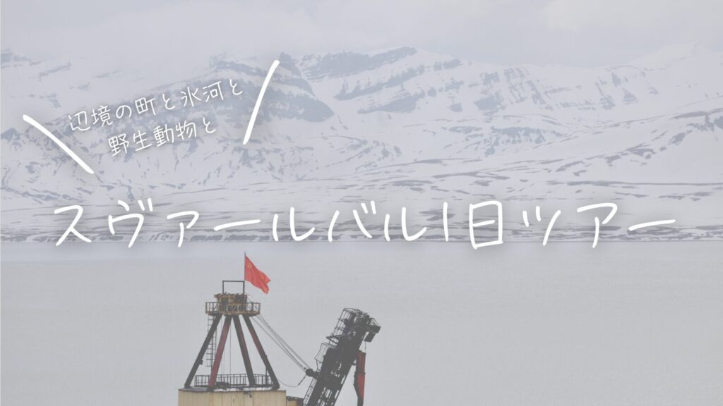 辺境の町と氷河と野生動物と！スヴァールバル諸島1日ツアー