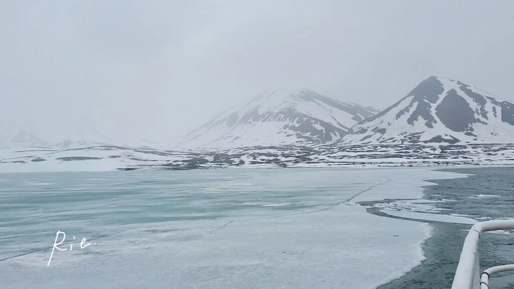 氷河周辺の景色