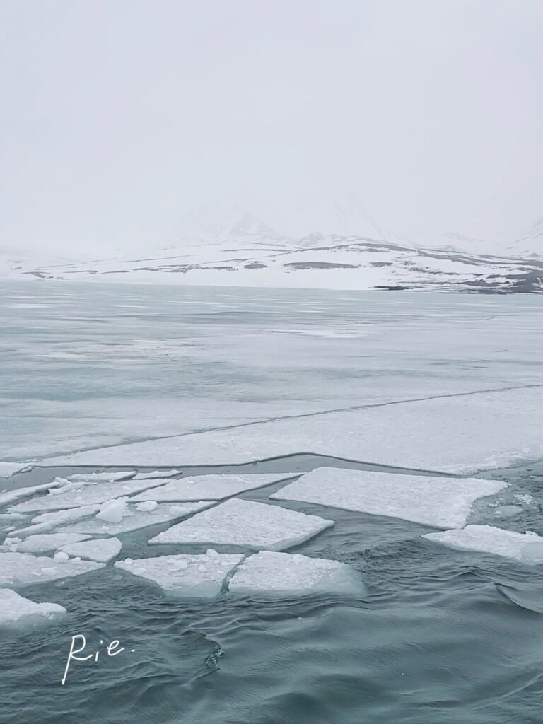 定着氷が割れて細かくなった様子