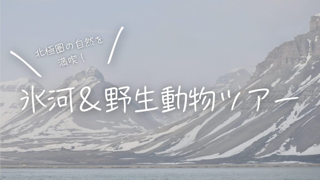 北極圏の自然を満喫！氷河&野生動物ツアー