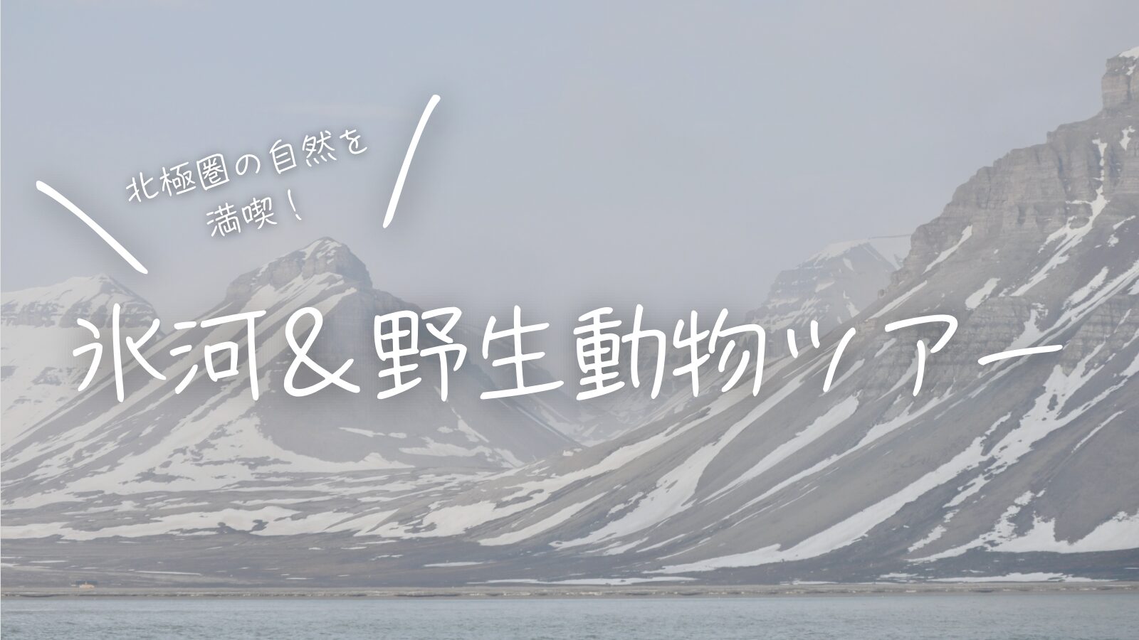 北極圏の自然を満喫！氷河&野生動物ツアー