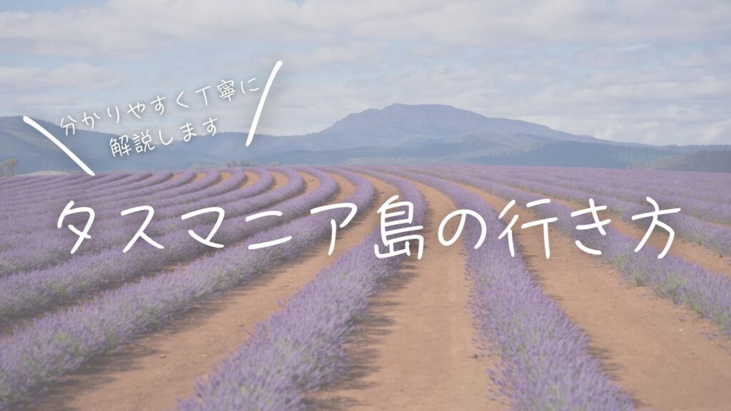 分かりやすく丁寧に解説します！タスマニア島の行き方