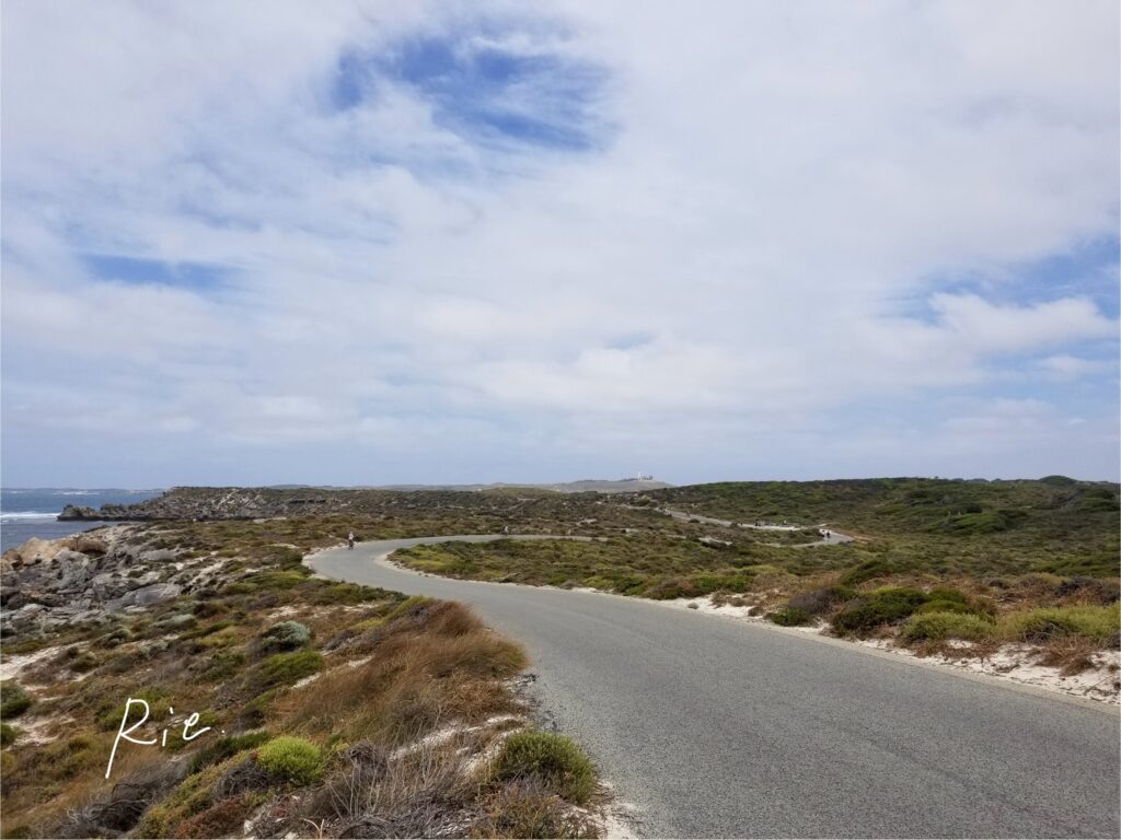 ロットネスト島内の見晴らしのいい道