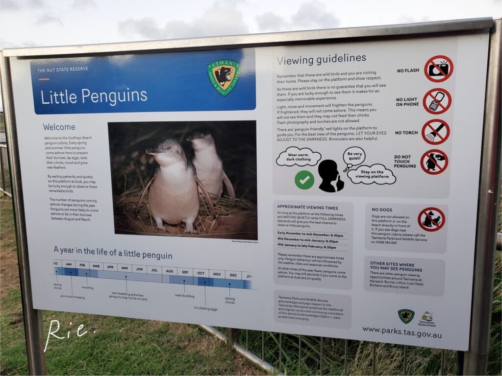 フェアリーペンギンに関する看板