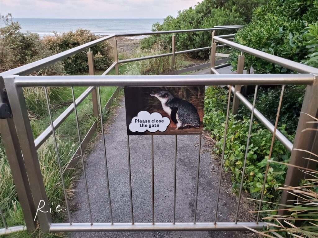 デッキへの入り口ゲート