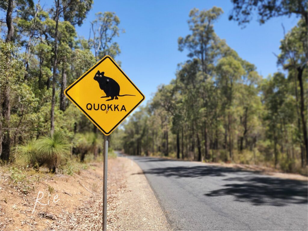 クオッカ注意看板