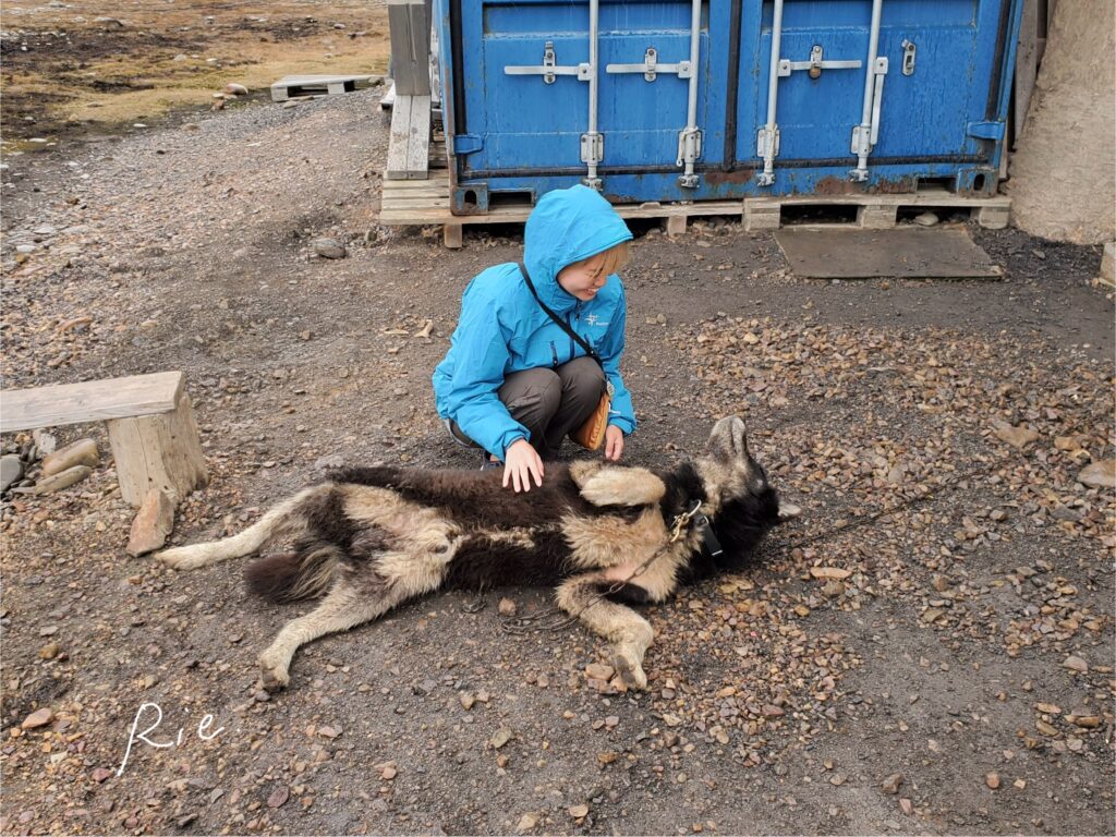 ワンちゃんとふれあっている様子①