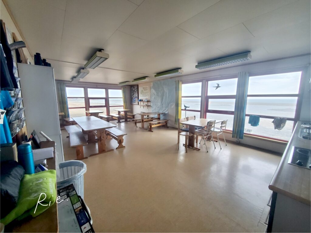 キッチンエリア