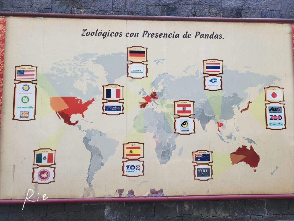 世界でパンダがいる動物園一覧